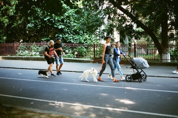 family walking their dog