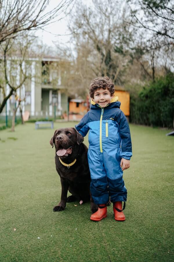 child petting a large brown dog