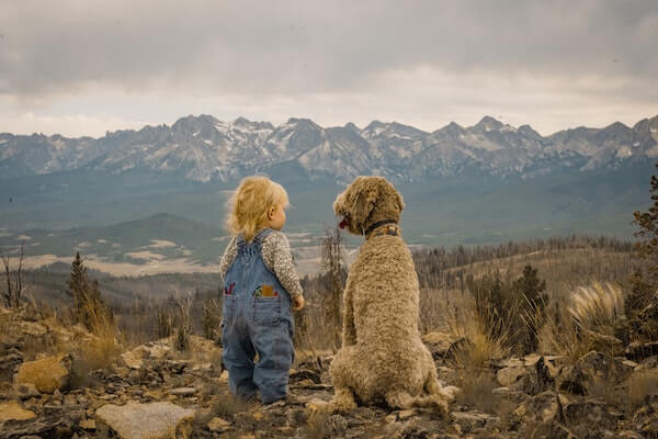 toddler with their dog looking out over the landscape