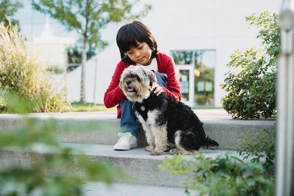 child petting their dog while sitting on steps