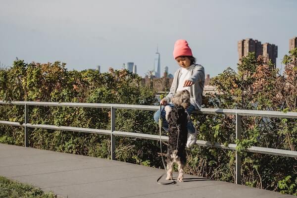 child sitting on railing giving their dog a treat